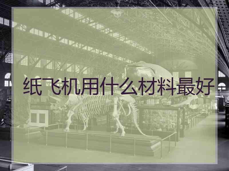 纸飞机用什么材料最好