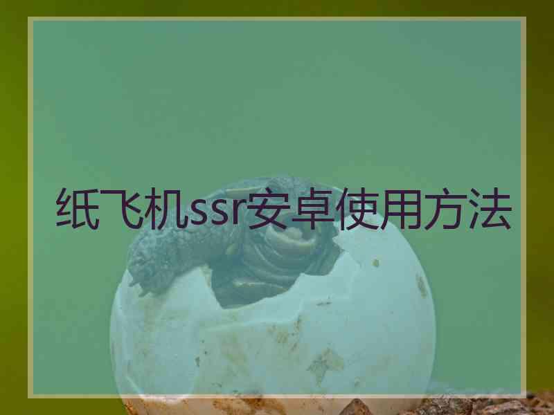 纸飞机ssr安卓使用方法