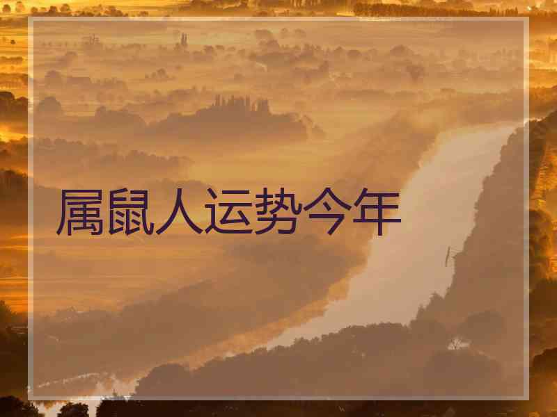 属鼠人运势今年