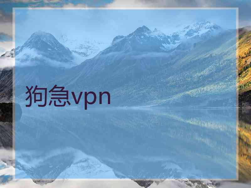 狗急vpn