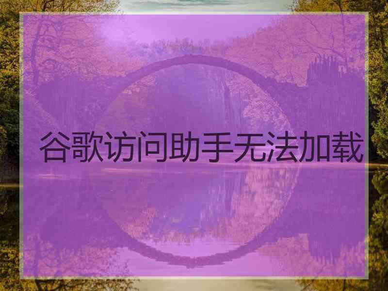 谷歌访问助手无法加载