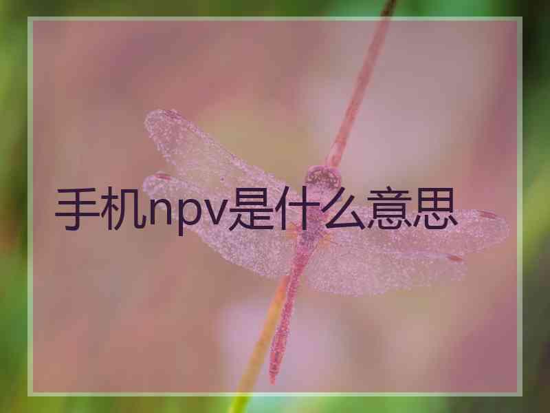 手机npv是什么意思