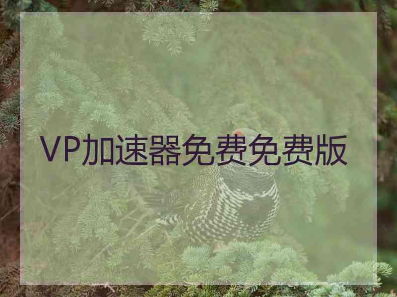 VP加速器免费免费版