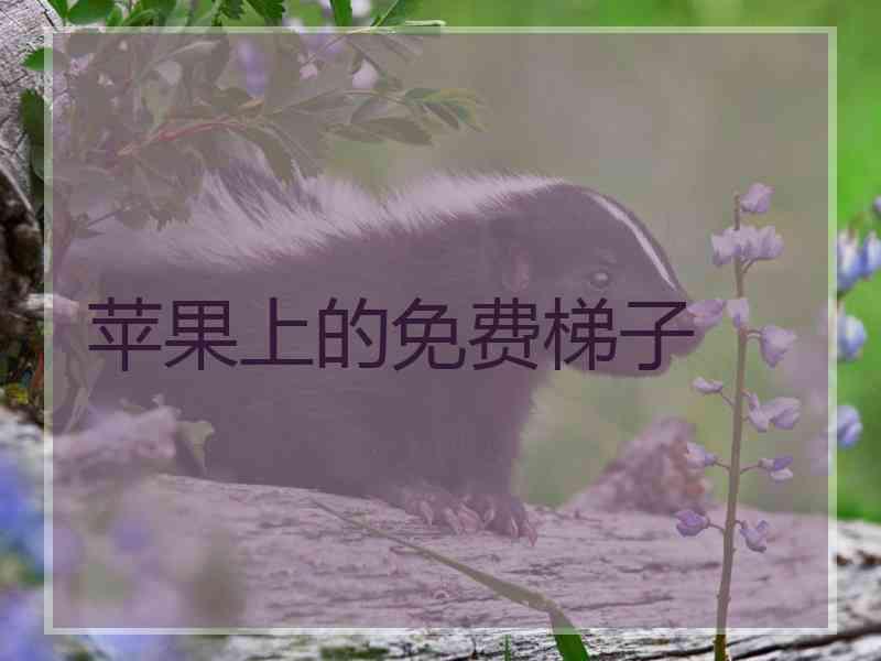 苹果上的免费梯子