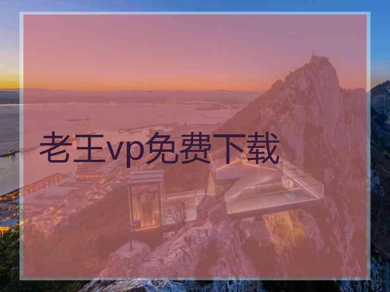 老王vp免费下载