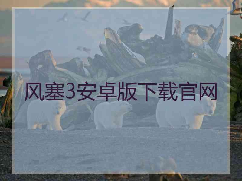 风塞3安卓版下载官网
