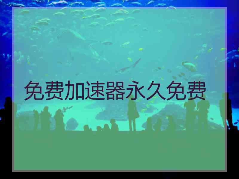 免费加速器永久免费