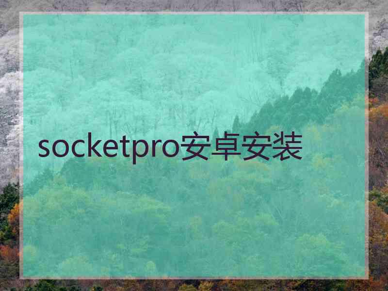 socketpro安卓安装