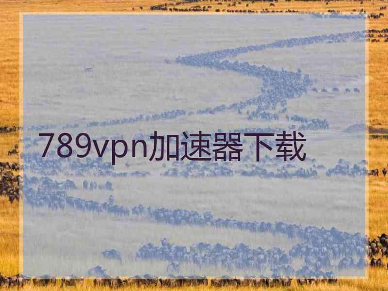 789vpn加速器下载