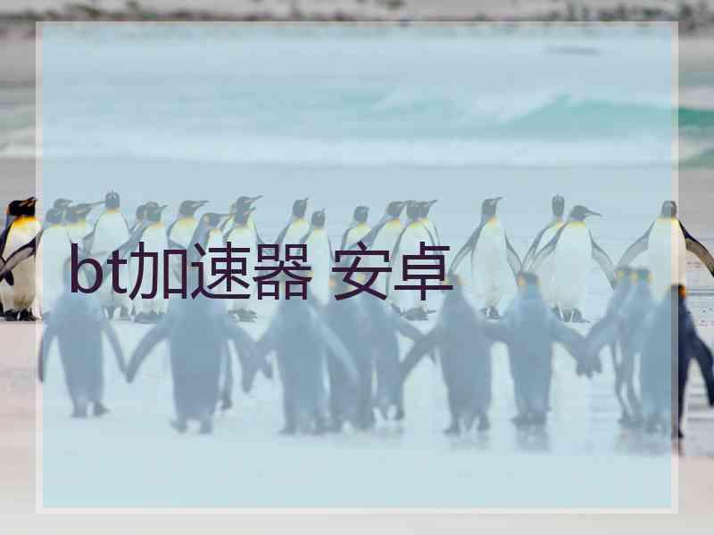 bt加速器 安卓