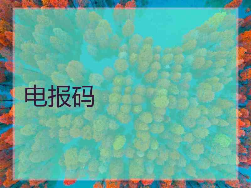 电报码