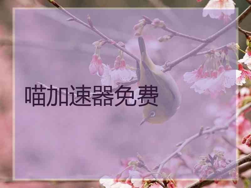 喵加速器免费