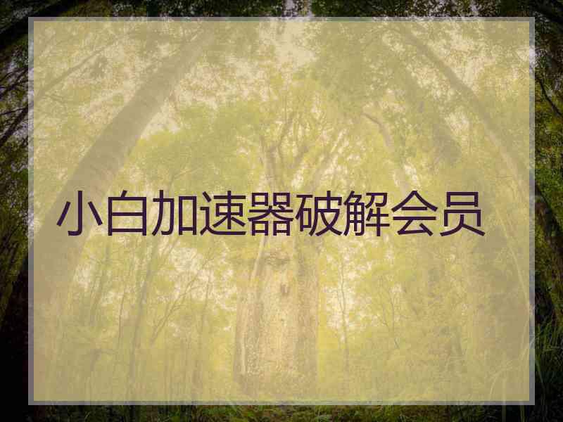 小白加速器破解会员