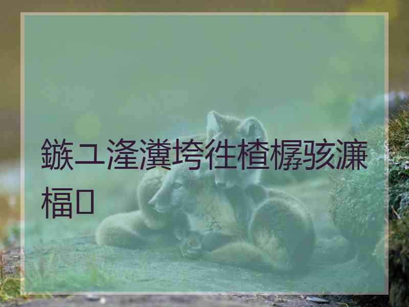 鏃ユ湰瀵垮徃楂樼骇濂楅