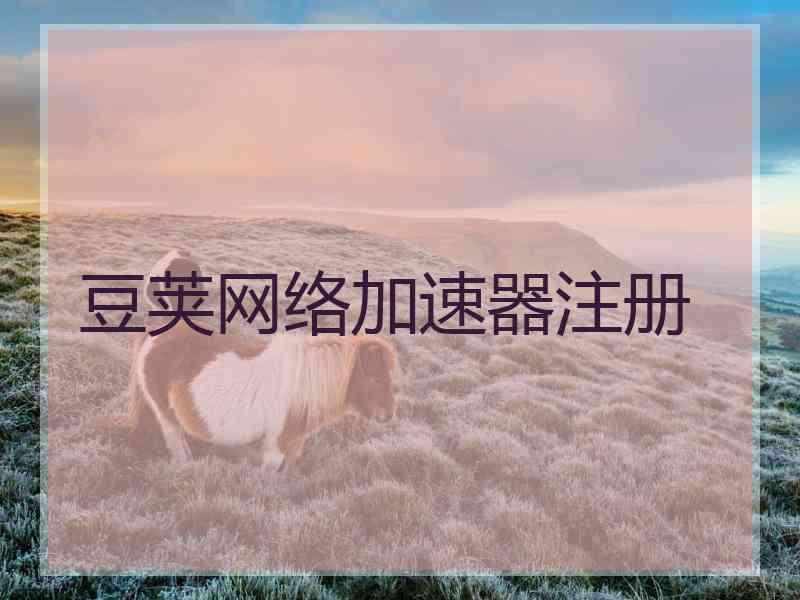 豆荚网络加速器注册