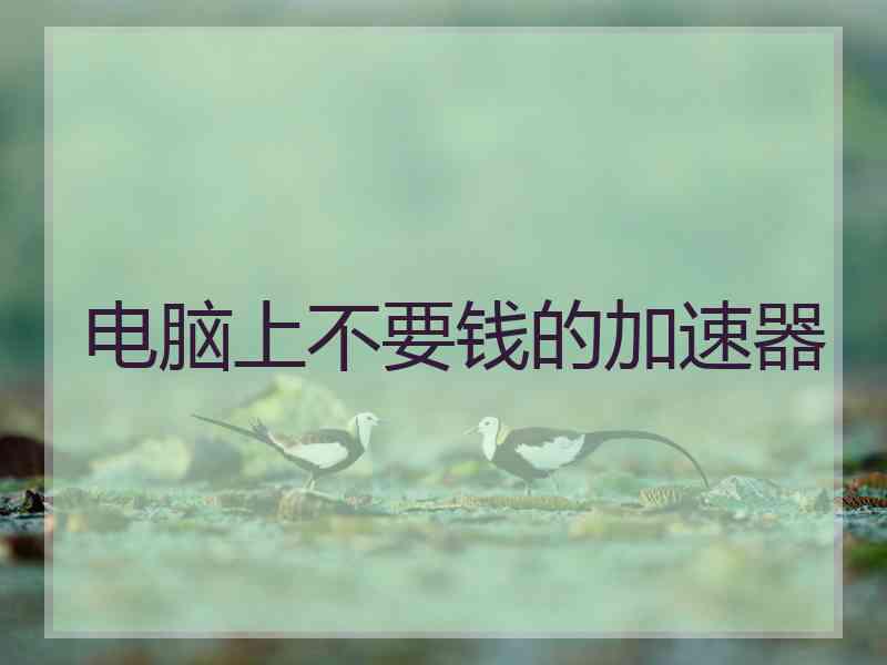电脑上不要钱的加速器