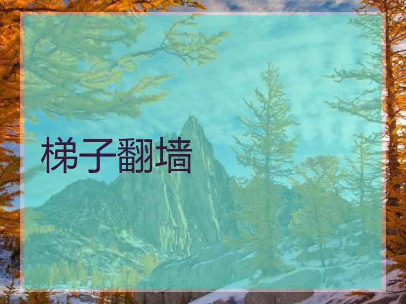 梯子翻墙