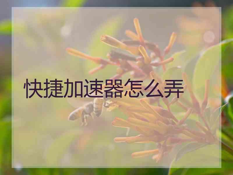 快捷加速器怎么弄