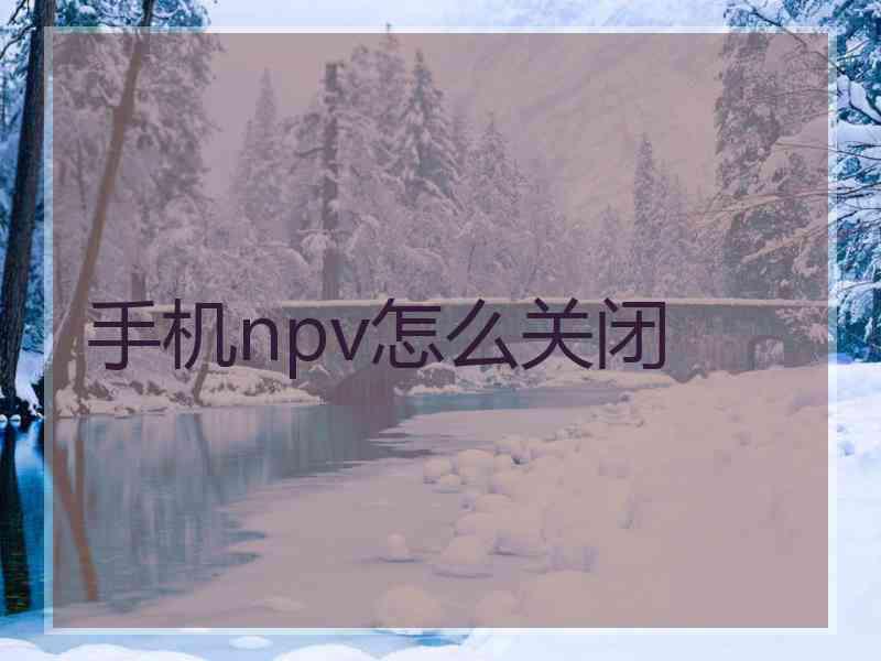 手机npv怎么关闭