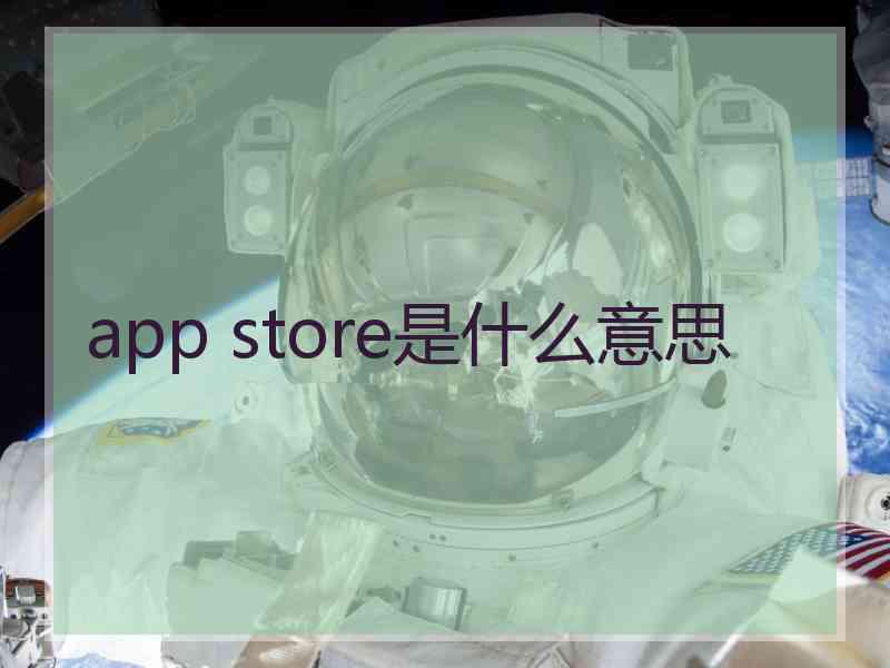 app store是什么意思