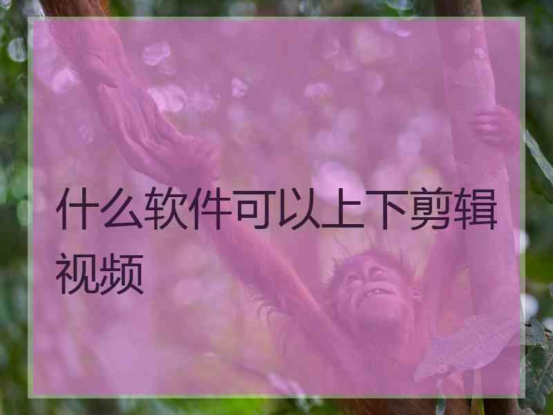 什么软件可以上下剪辑视频