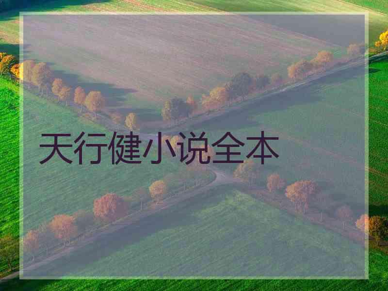 天行健小说全本