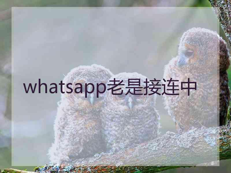 whatsapp老是接连中