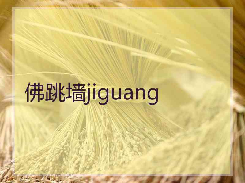 佛跳墙jiguang