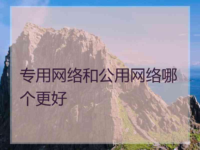 专用网络和公用网络哪个更好