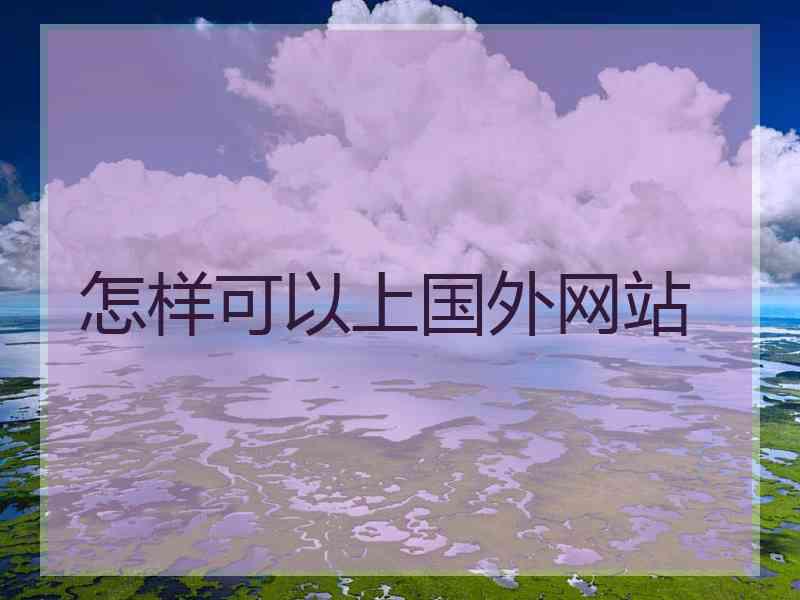 怎样可以上国外网站