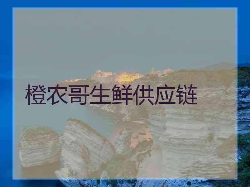 橙农哥生鲜供应链