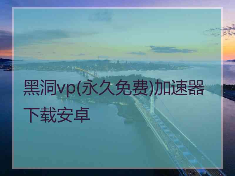 黑洞vp(永久免费)加速器下载安卓