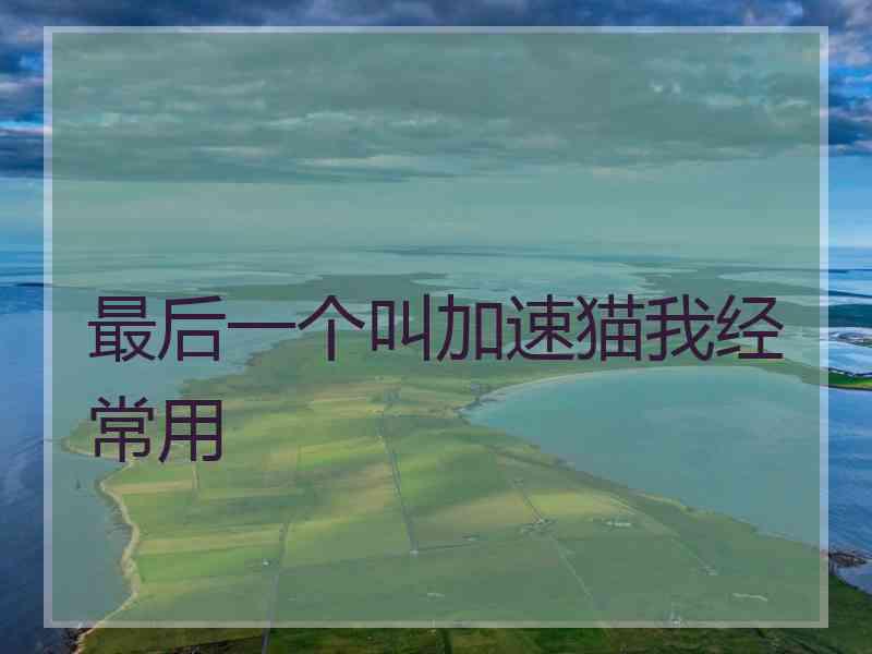 最后一个叫加速猫我经常用