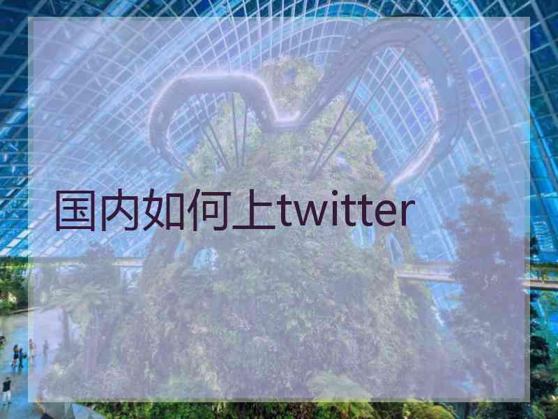 国内如何上twitter