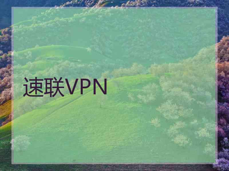 速联VPN