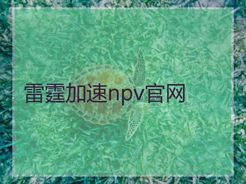 雷霆加速npv官网