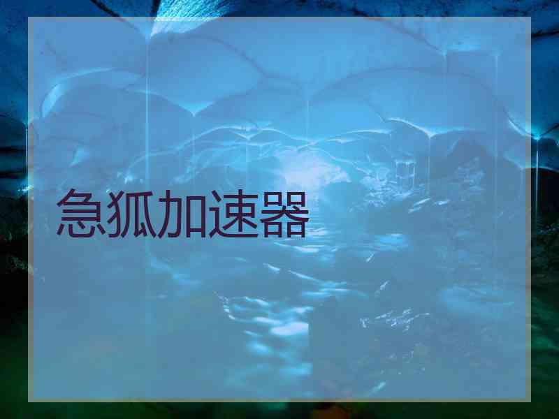 急狐加速器