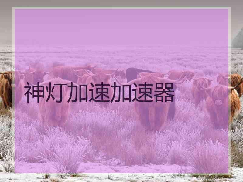 神灯加速加速器
