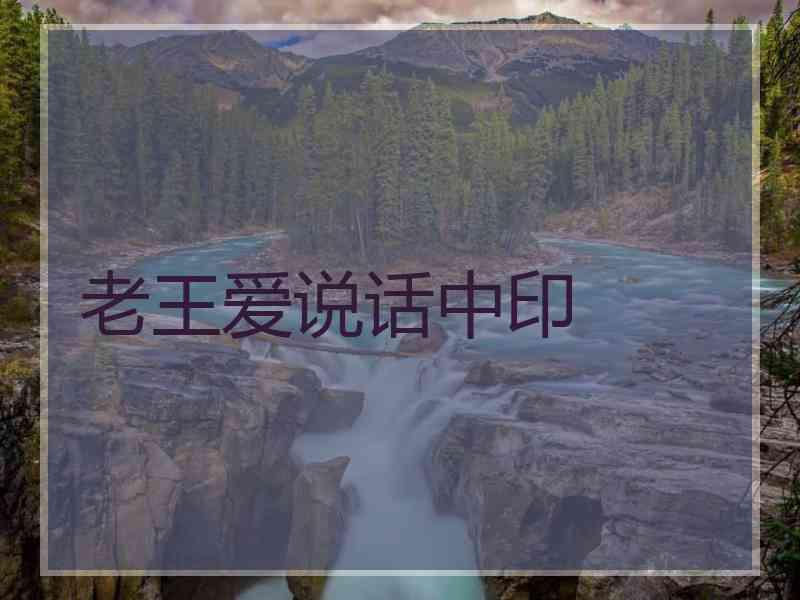 老王爱说话中印
