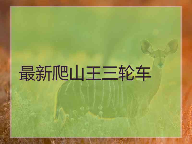 最新爬山王三轮车