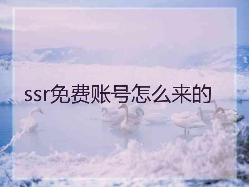 ssr免费账号怎么来的