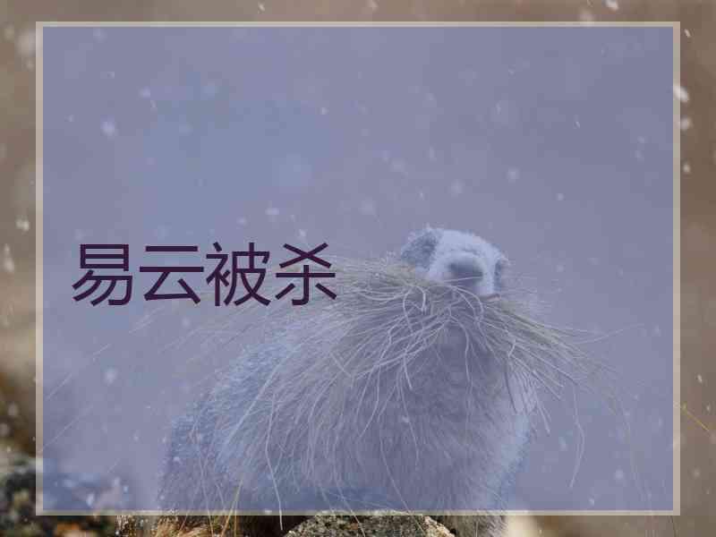 易云被杀