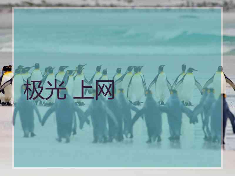 极光 上网