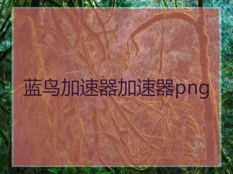 蓝鸟加速器加速器png
