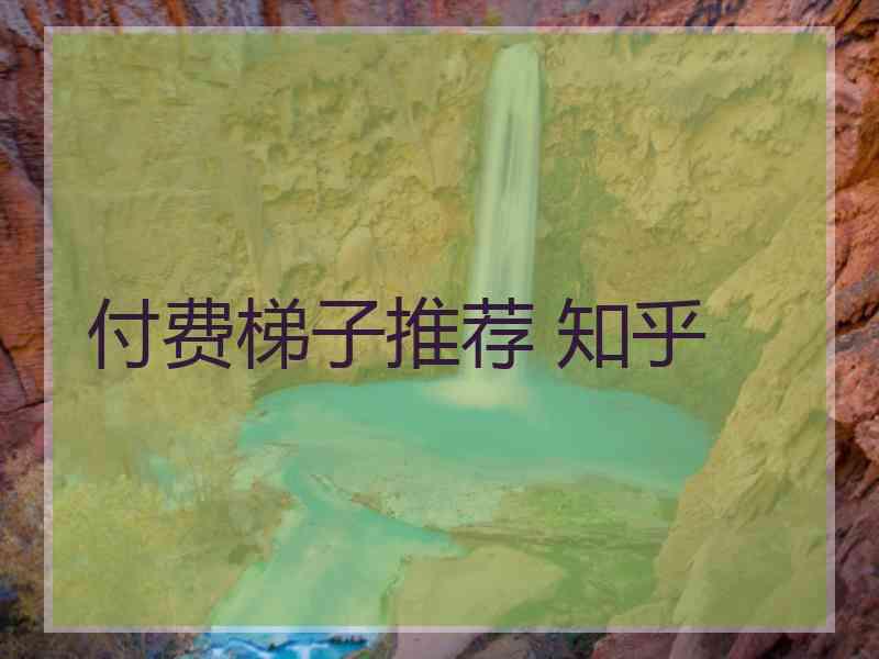 付费梯子推荐 知乎