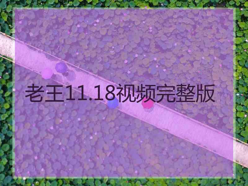 老王11.18视频完整版