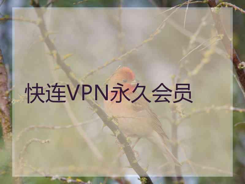 快连VPN永久会员
