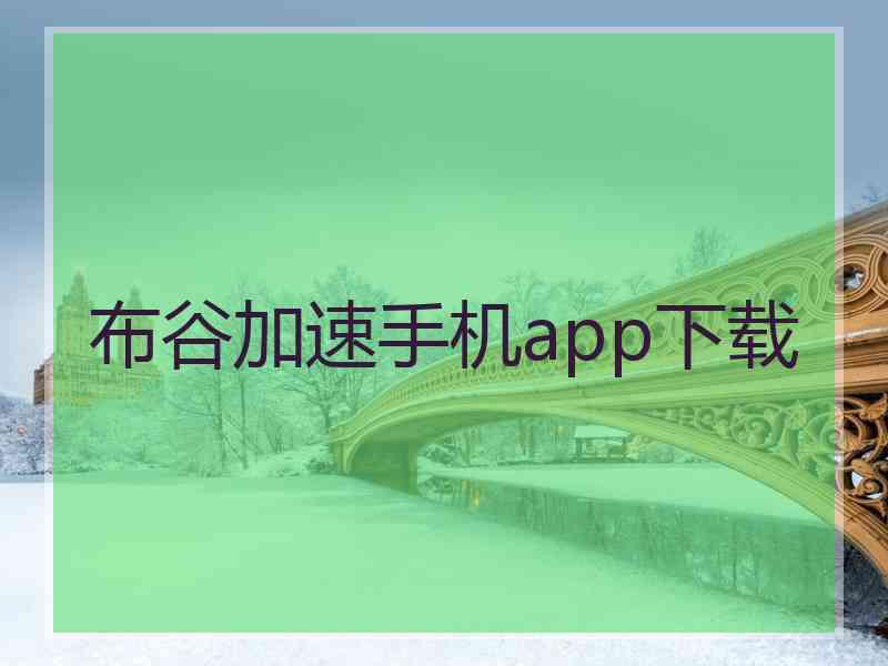 布谷加速手机app下载