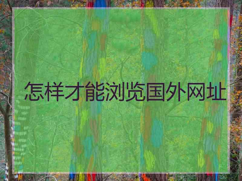 怎样才能浏览国外网址