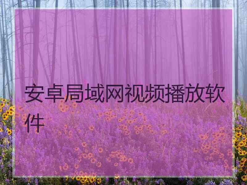 安卓局域网视频播放软件